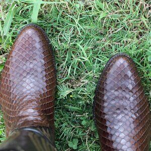 Tony Lama Chocolate Anaconda Cowboy Boots | Size 10 D | Black Label | Round Toe